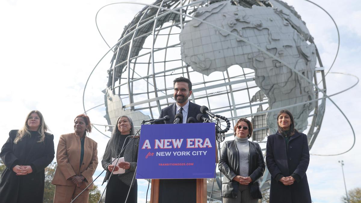 Economics and a Mamdani model, Big Apple style