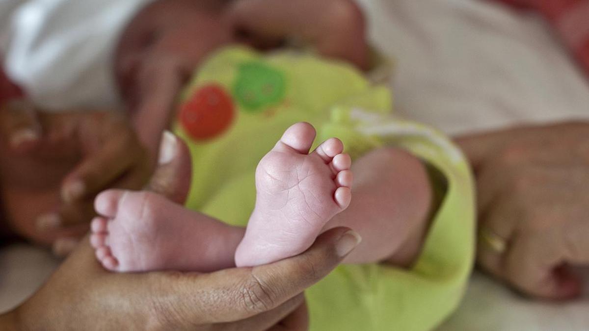 WHO calls on countries to make fertility care safer and affordable