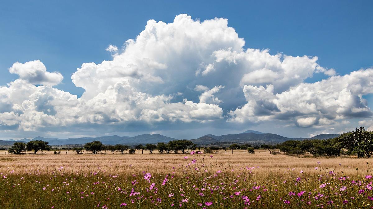 Why do clouds have different shapes?