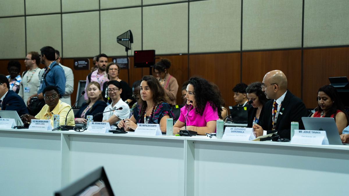 India to spruce up mechanisms for accessing climate finance