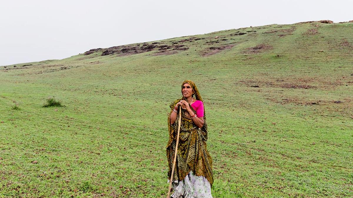 World Soil Day: Grassland soils, not trees, anchor India’s climate resilience