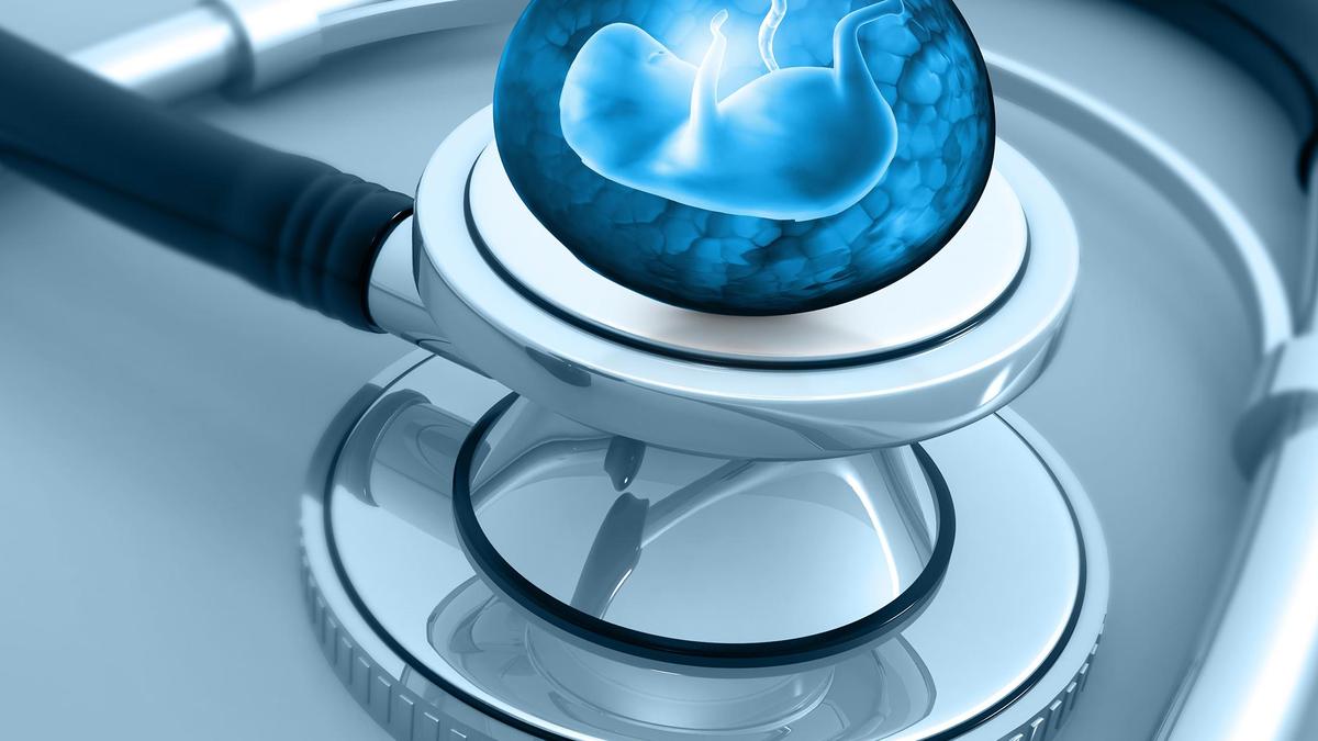 Inside a scientific experiment that transformed skin cells into embryo-forming eggs