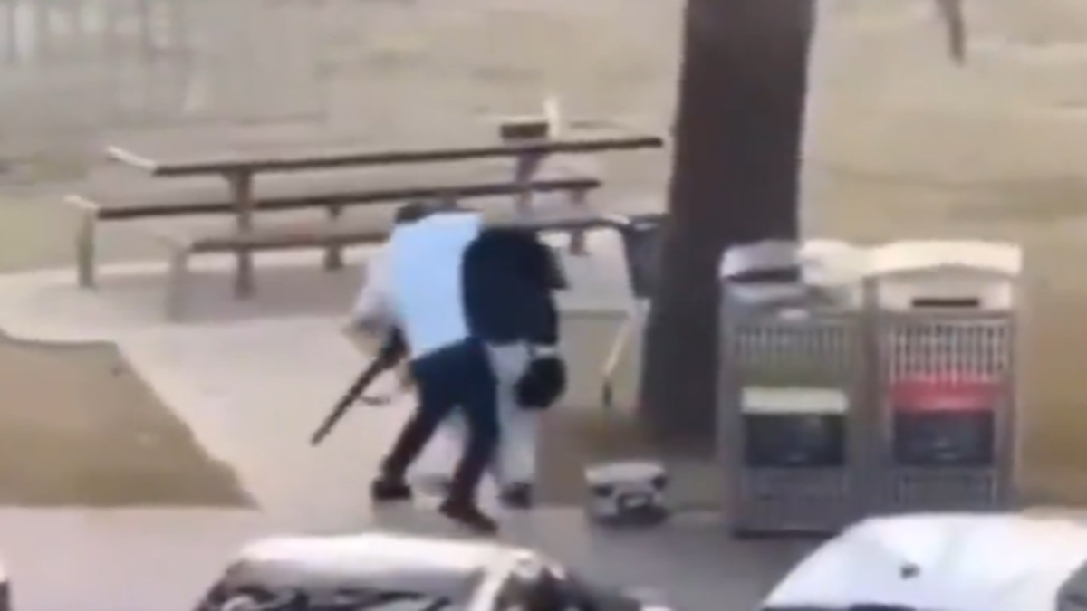 Bondi Beach shooting: Bystander who tackled armed man hailed as hero