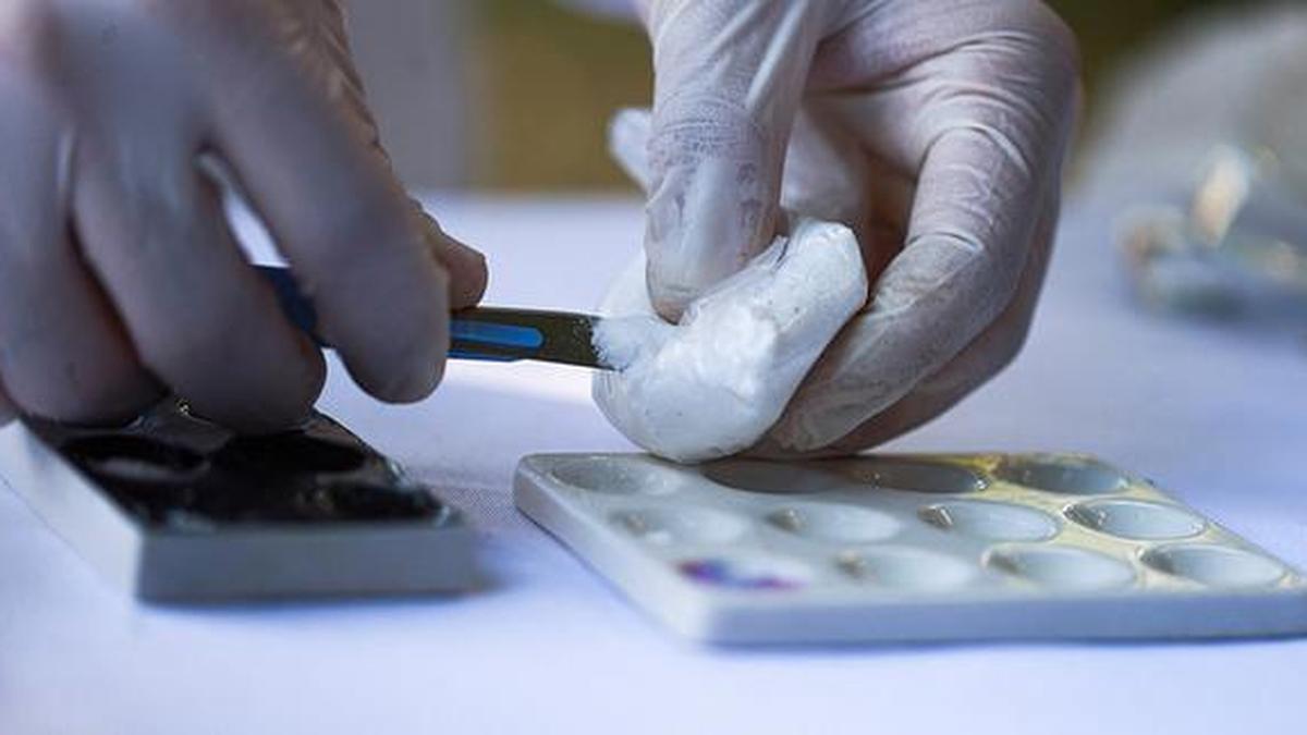 Two Indians, Thai woman held in Nepal with 4.3 kg cocaine