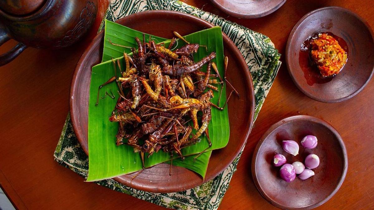 Try edible insects and fermented raw foods at this food festival at the Science Gallery Bengaluru