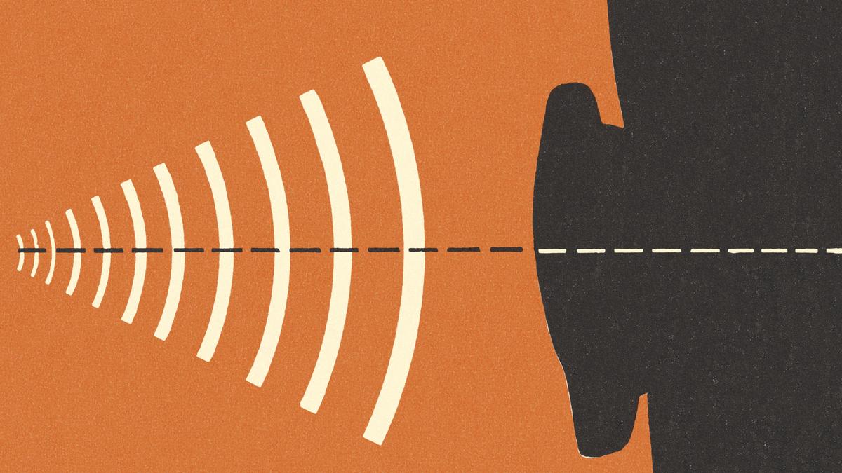 On zoos and magnets: the physics behind sounds