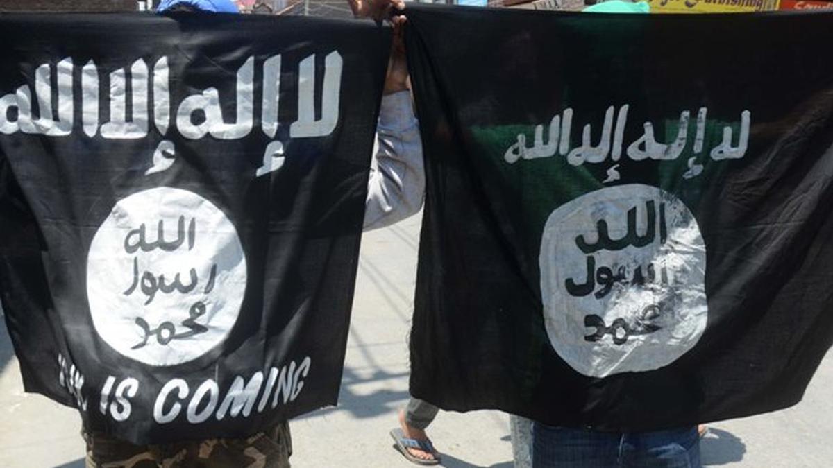 Syria says killed senior Islamic State leader