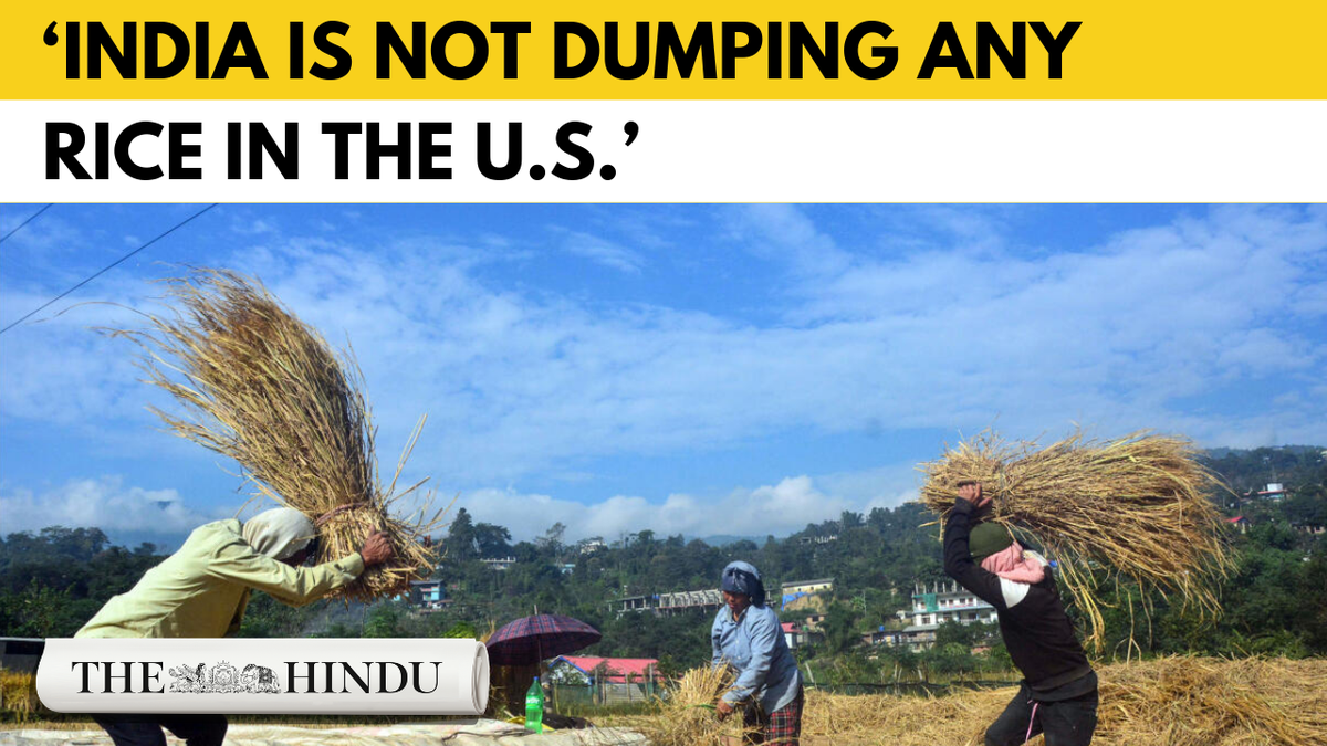 Watch: Indian rice exporters not worried about US’s high tariff threats