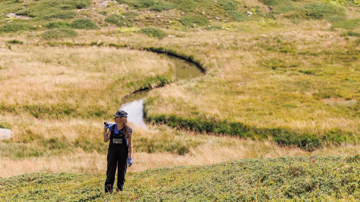 American scientist Toby Kiers wins Tyler Prize for shedding light on hidden fungal networks