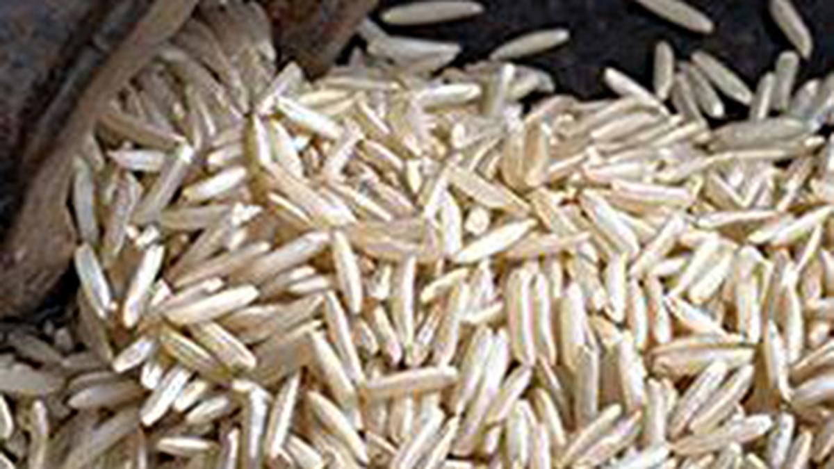 Amidst Iran crisis, rice exporters seek Commerce Ministry’s help to clear payments