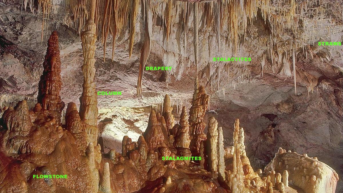 Science quiz: on palaeoclimatology – The Hindu