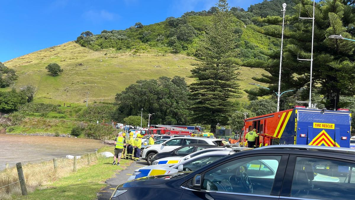 Rescue efforts underway after landslides hit New Zealand campground and house