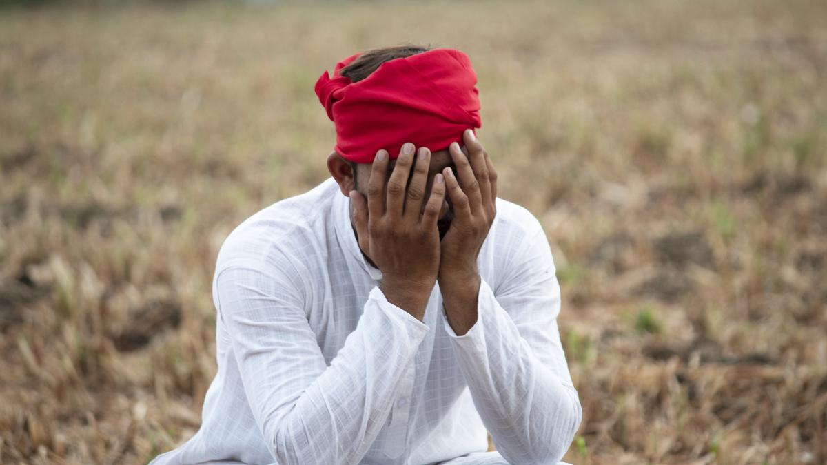 Global unemployment remains unchanged, ILO warns about decrease in jobs for youth, women