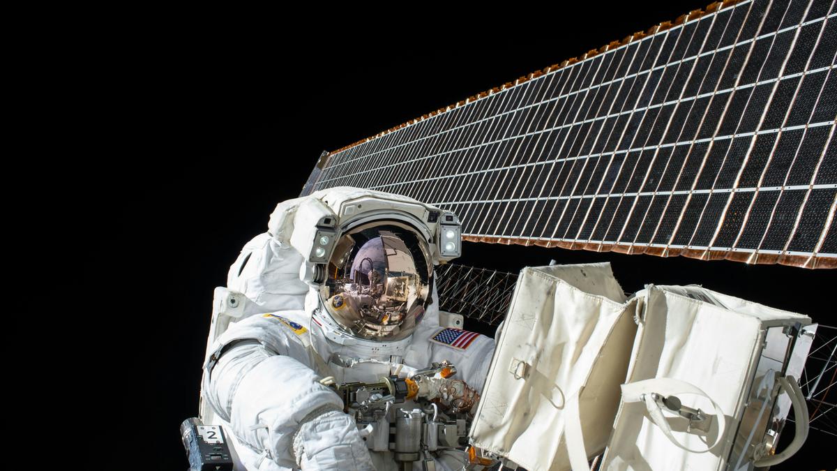 Scientists find spaceflight affects immune genes, deforms the brain