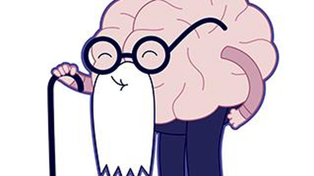 Can white matter changes in the brain determine our ageing trajectory?