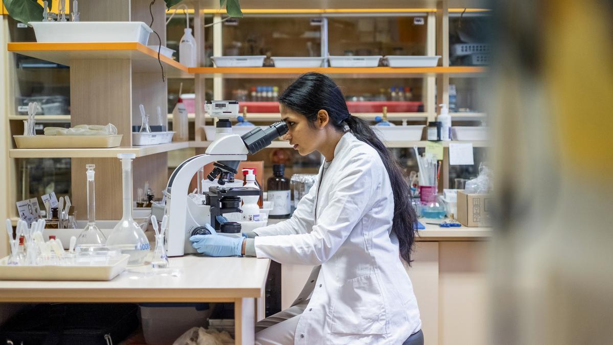 Why India needs political change to retain women in STEM