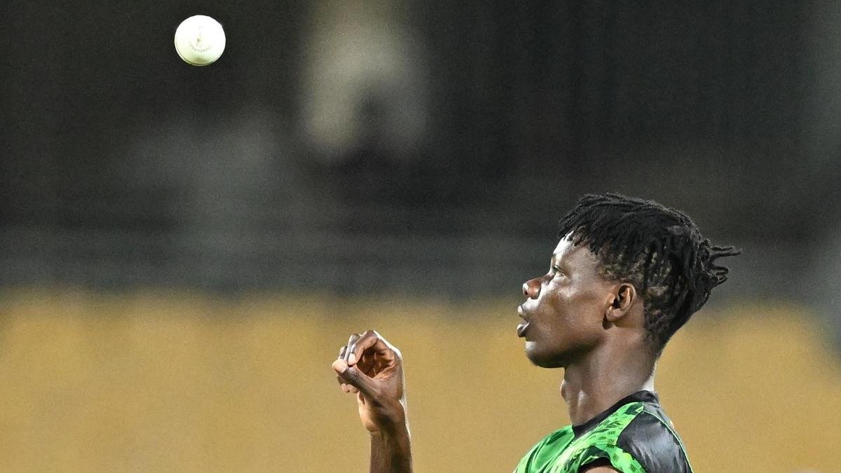 IPL too good an opportunity to pass up