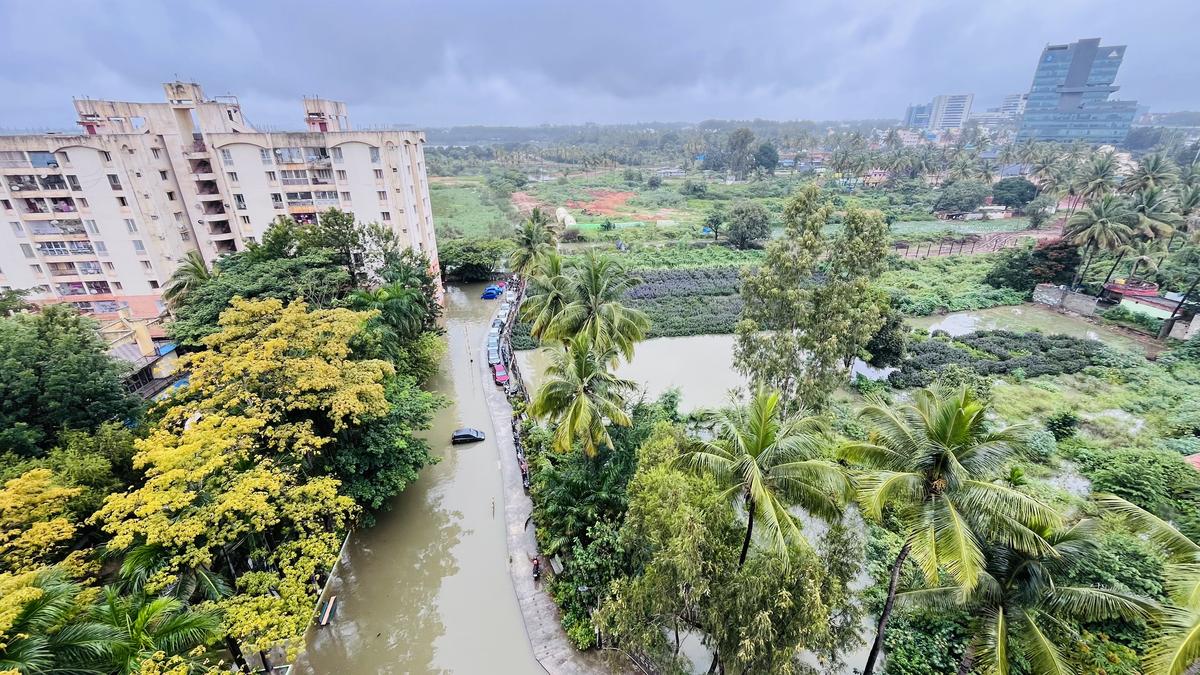 How landscape memory, hysteresis shape the way Indian cities flood