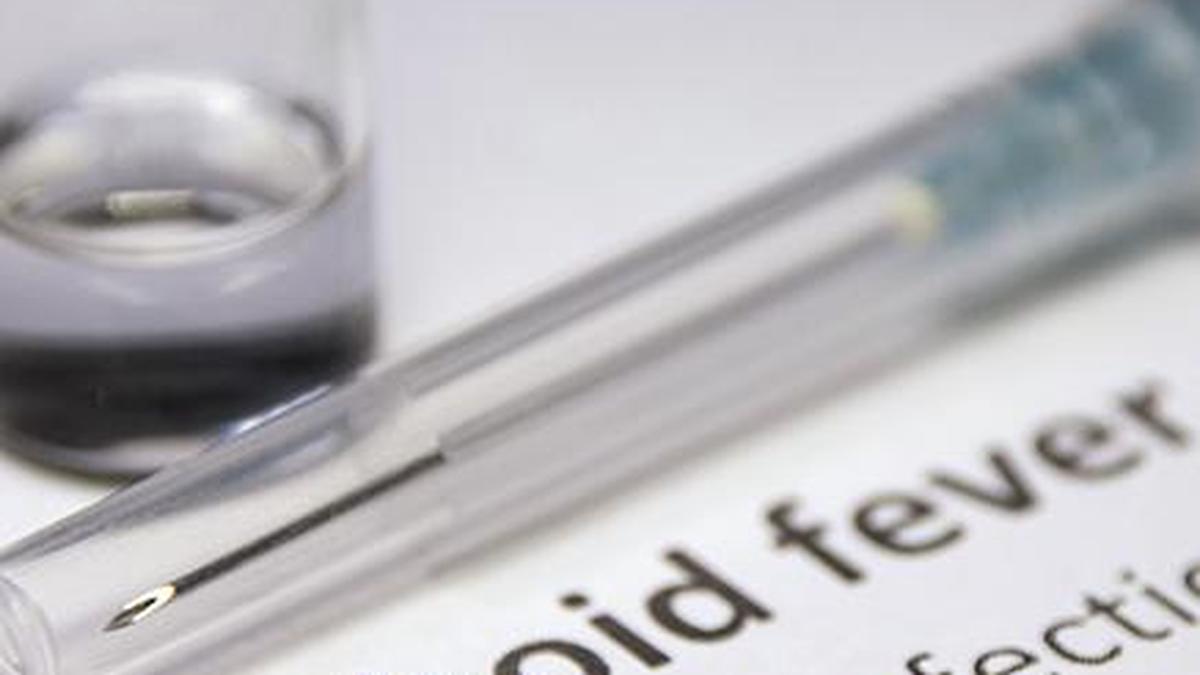 Antibiotic resistance fuels 87% of India’s typhoid economic burden: Study