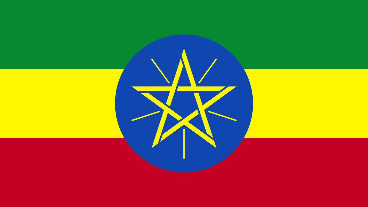 Ethiopia rebels committed summary executions; gang-raped women, girls: Amnesty International