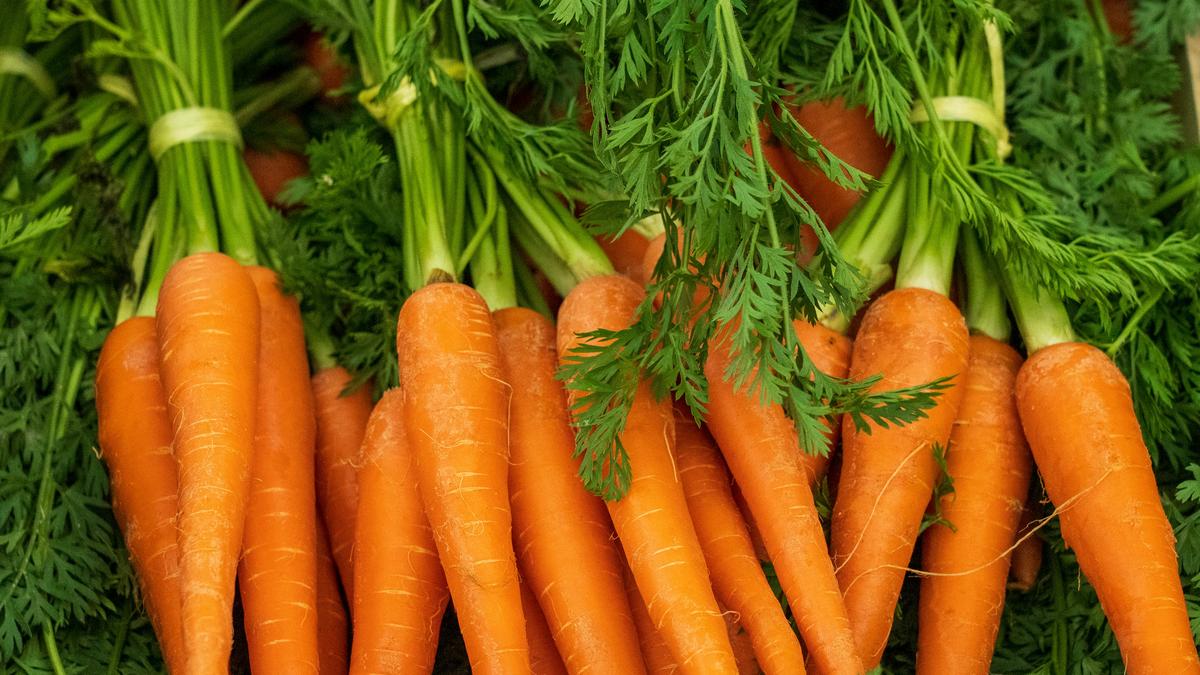 Turning carrot waste into edible material again