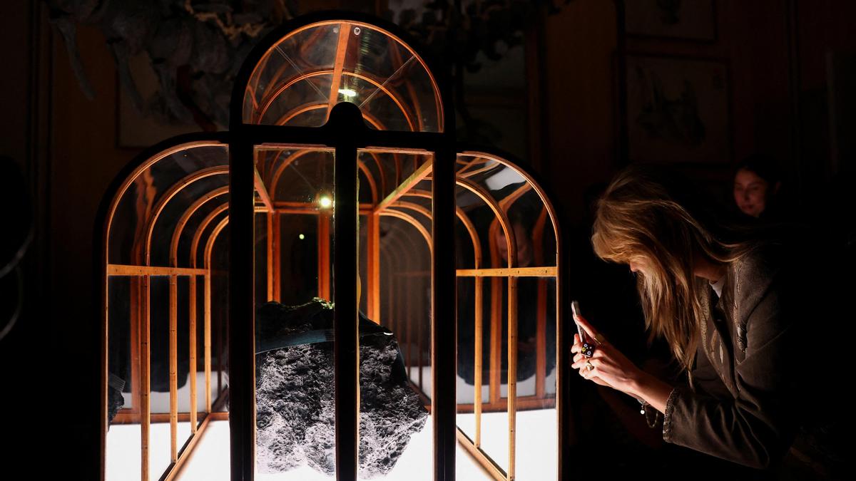 Dinosaur collagen used to create one-of-a-kind handbag