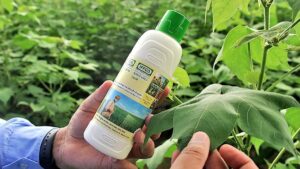 Nano urea and public health: why India must proceed with caution