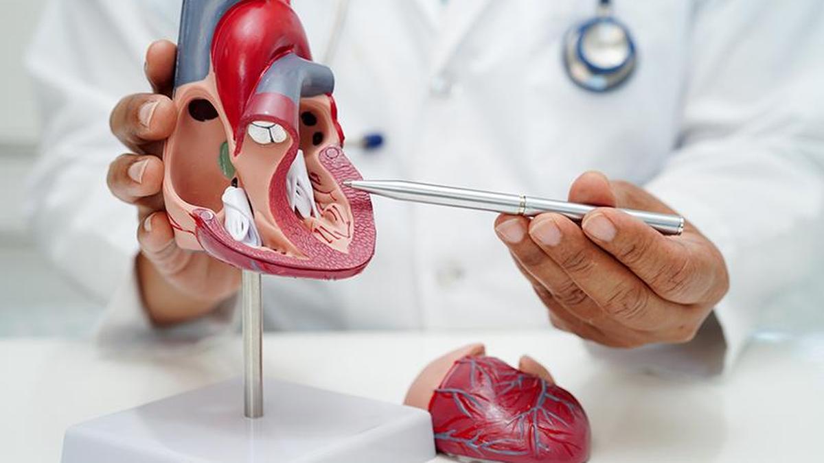 New molecular pathways contributing to cardiovascular disease in Indians found