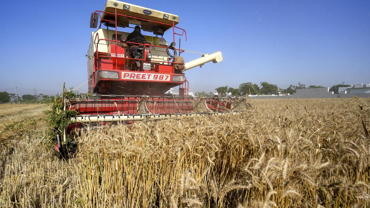 Extreme heat threatens global food systems, UN agencies warn