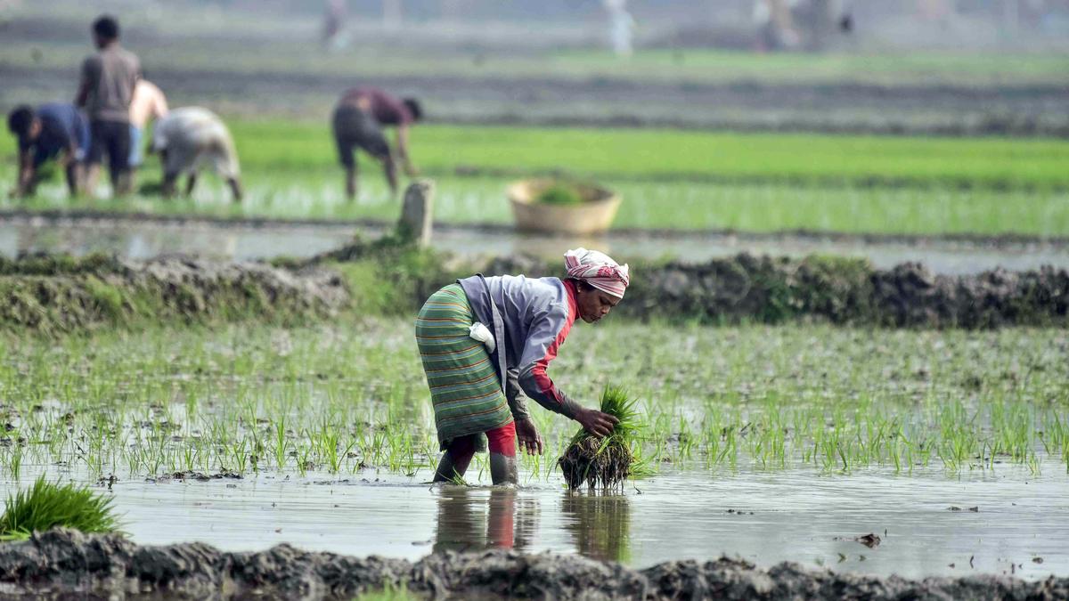 Union Budget 2026-27: What the new fiscal rule means for growth and spending