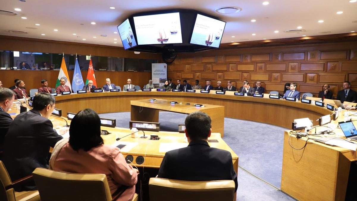 At UN, India flags concerns over targeting of vessels in Strait of Hormuz