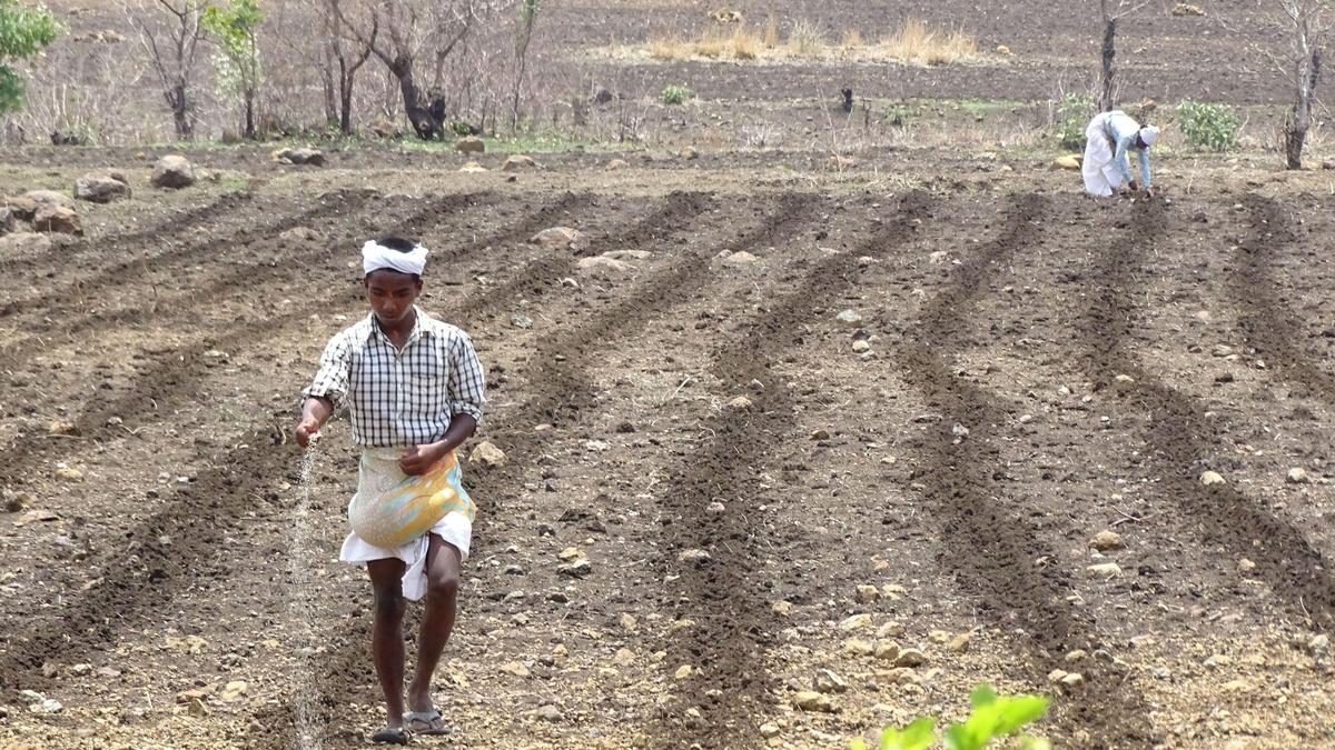 Improving efficiency of fertilizer use in India
