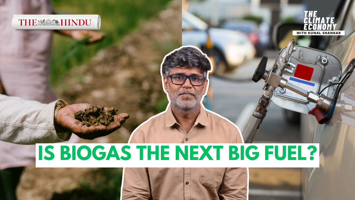 Watch: Is biogas the next big fuel?