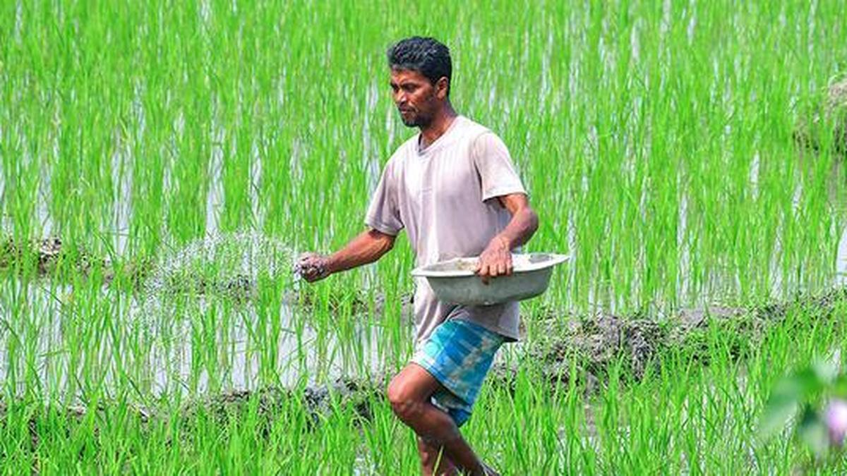 Government says ample stock of fertilizers to meet Kharif demand; no need for panic buying
