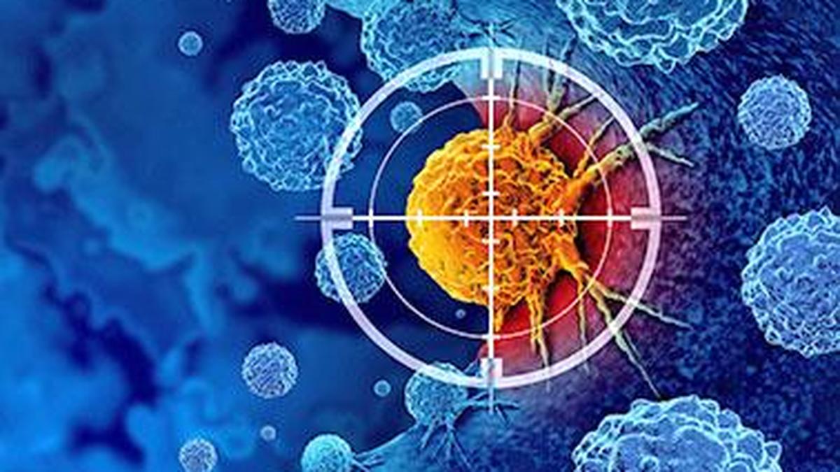Cancer immunotherapy may reshape brain’s barrier to metastasis