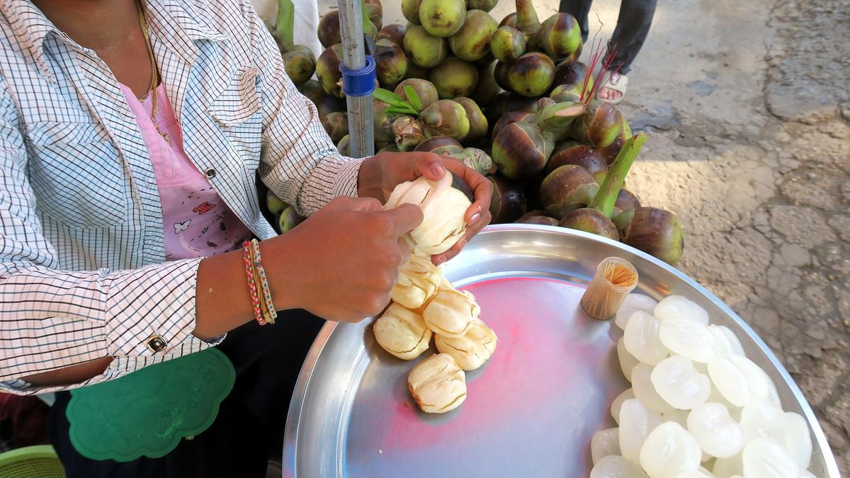 The ice apple is more than just a seasonal delicacy