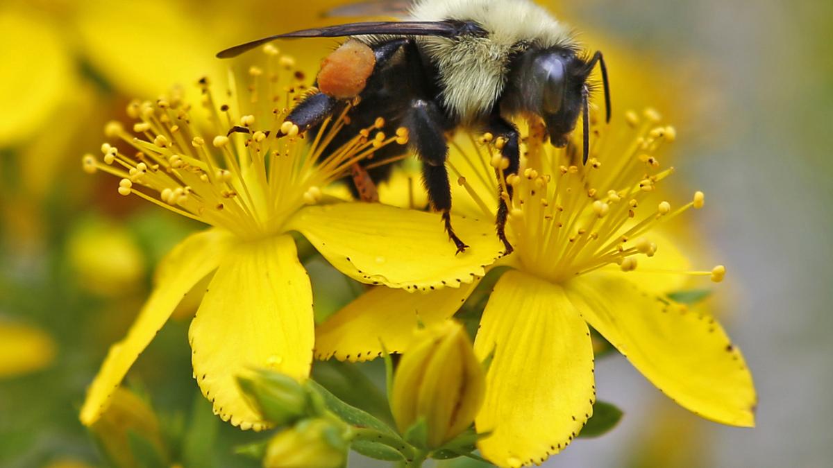 Science Snapshots: May 10, 2026