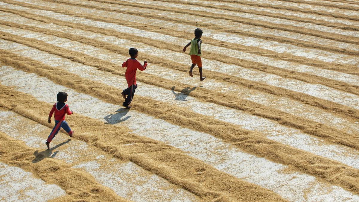 Physical activity has stalled for 20 years, hurting health and climate