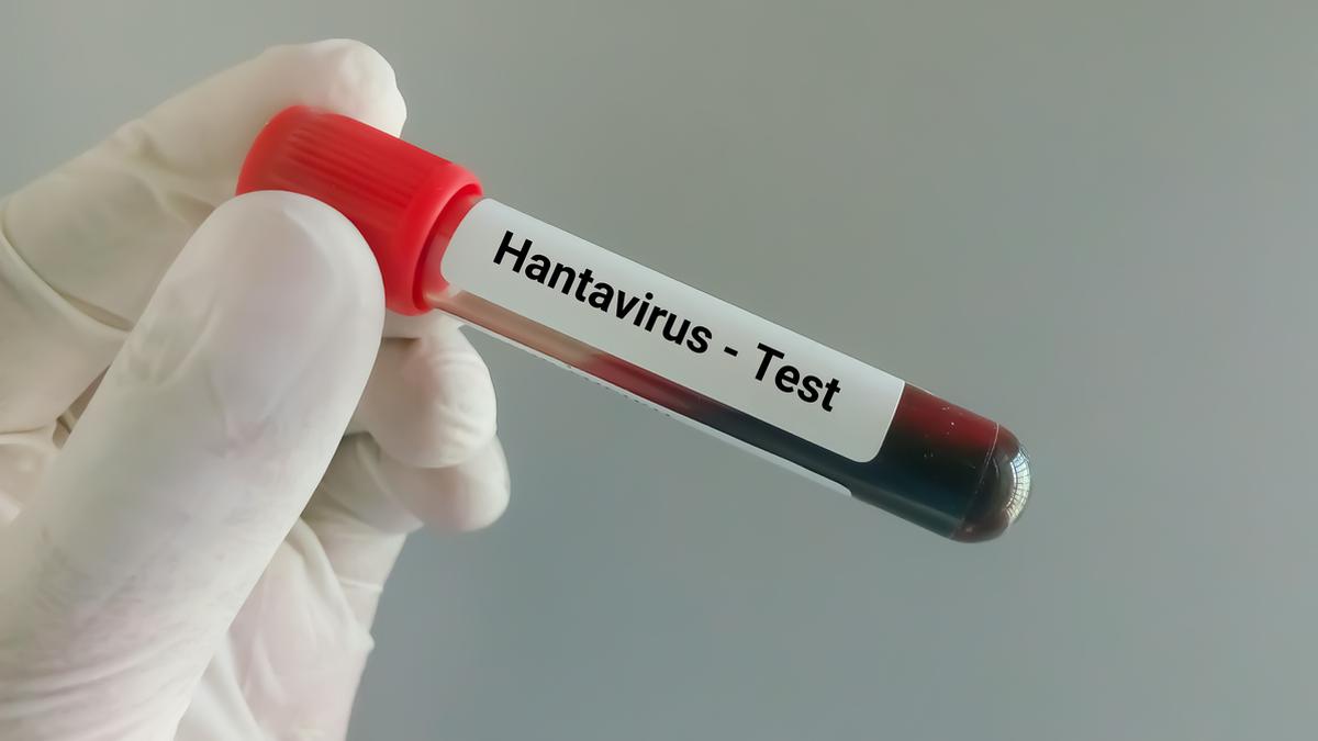 Why is hantavirus drawing global attention? | Explained