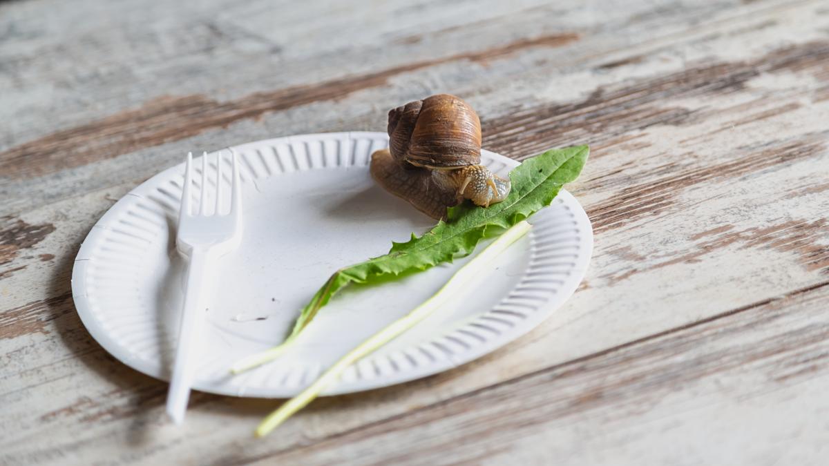 Slow consumption is the new cool