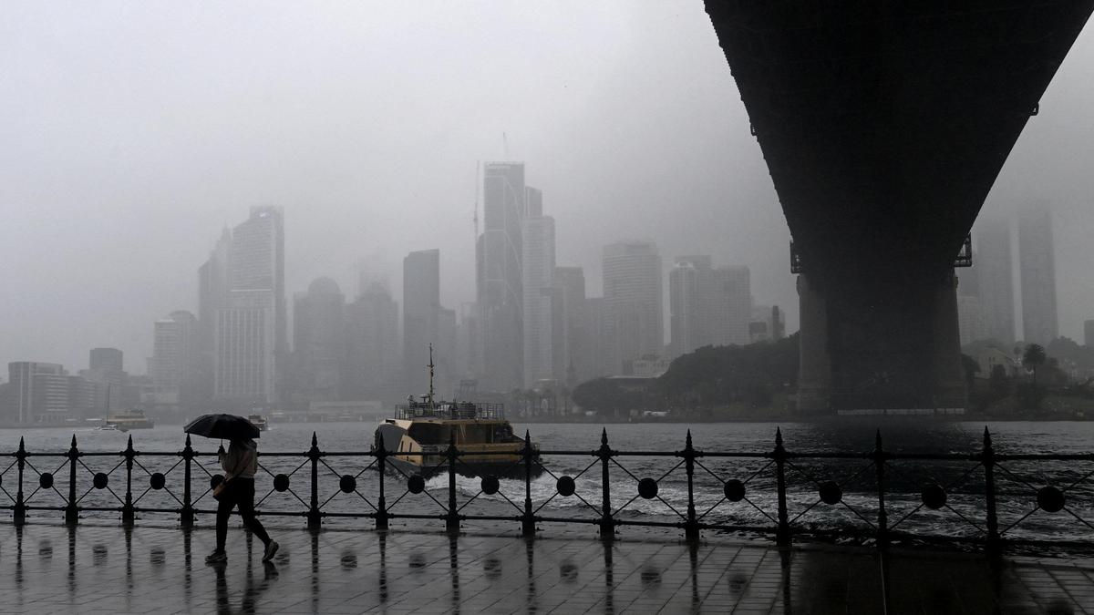 Australia declares strong El Nino in tropical Pacific as risks to agriculture loom