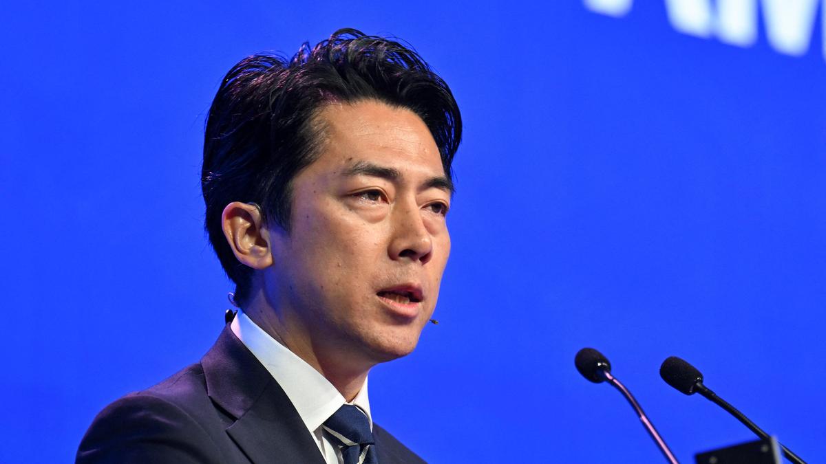 Japan undecided on sending military to Hormuz