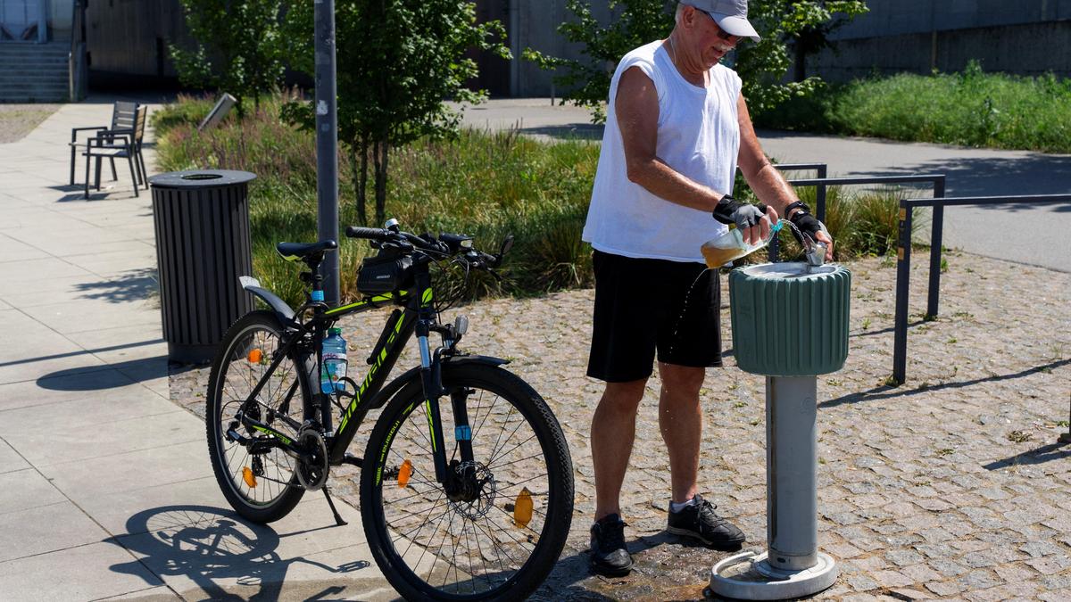 More than 1,300 excess deaths recorded in Europe heatwave: WHO