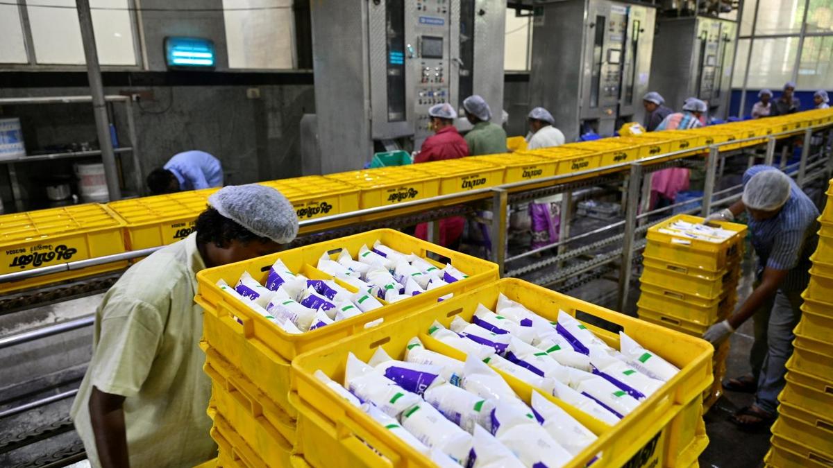 Extreme heat tests India’s record milk production
