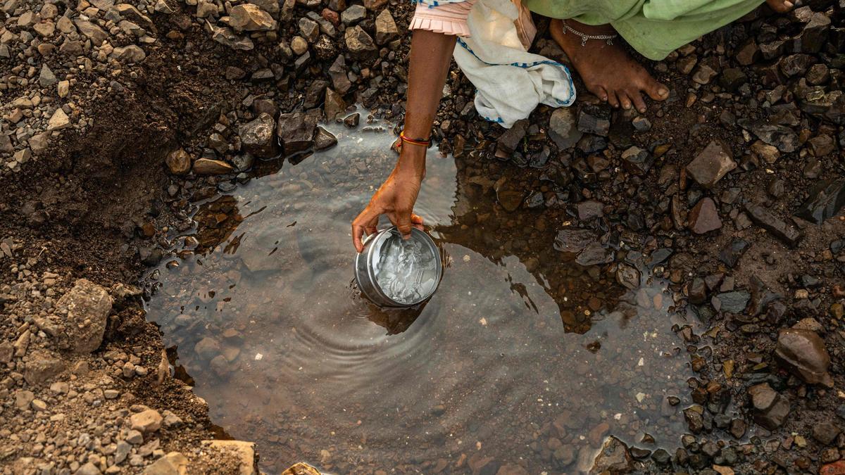 Droughts can drive antibiotic resistance in soil bacteria, research finds