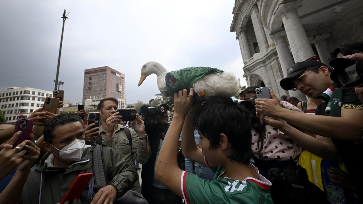 Merlin the duck takes a trip to the stadium, but FIFA rules keep him out of Mexico match