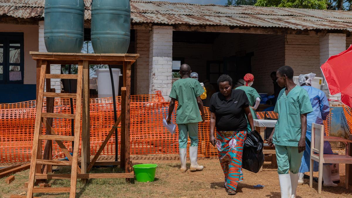 Nearly 500 confirmed cases in Central Africa Ebola outbreak: WHO