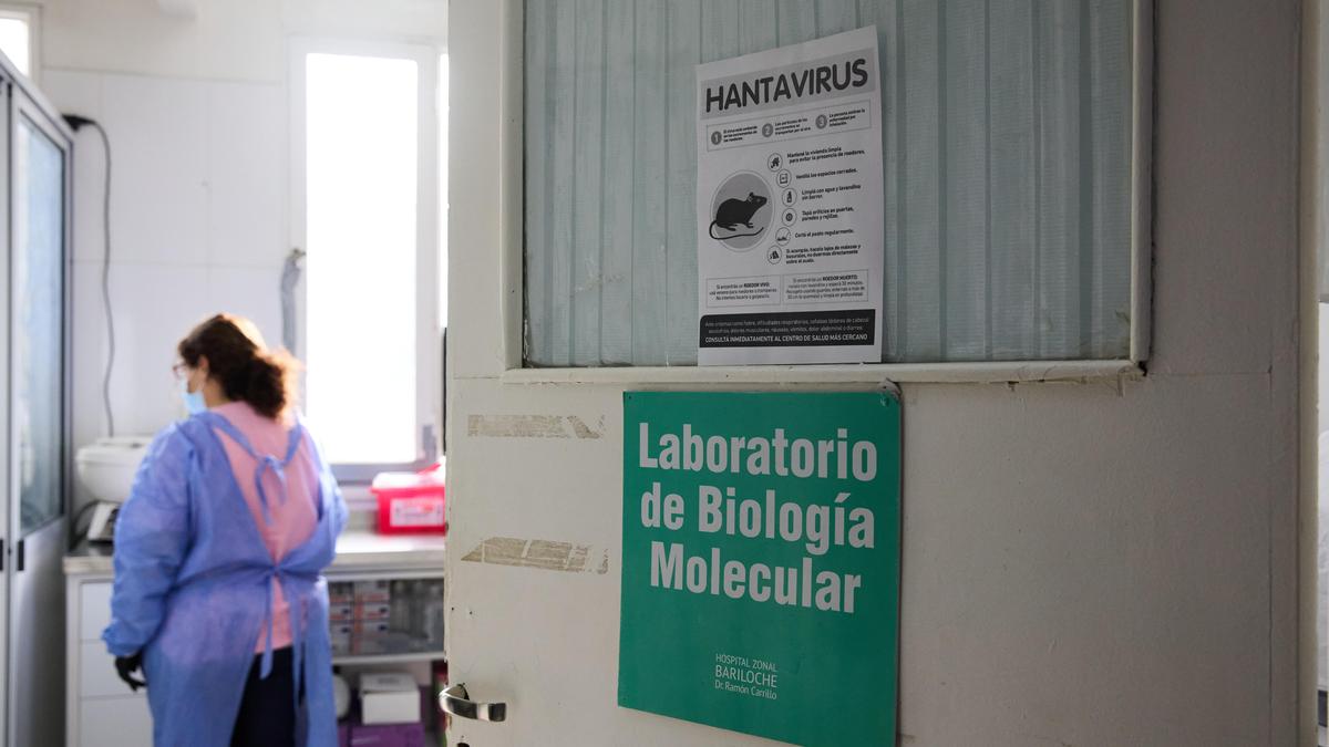 Argentina expands hantavirus probe; sends teams to test rats in Mendoza
