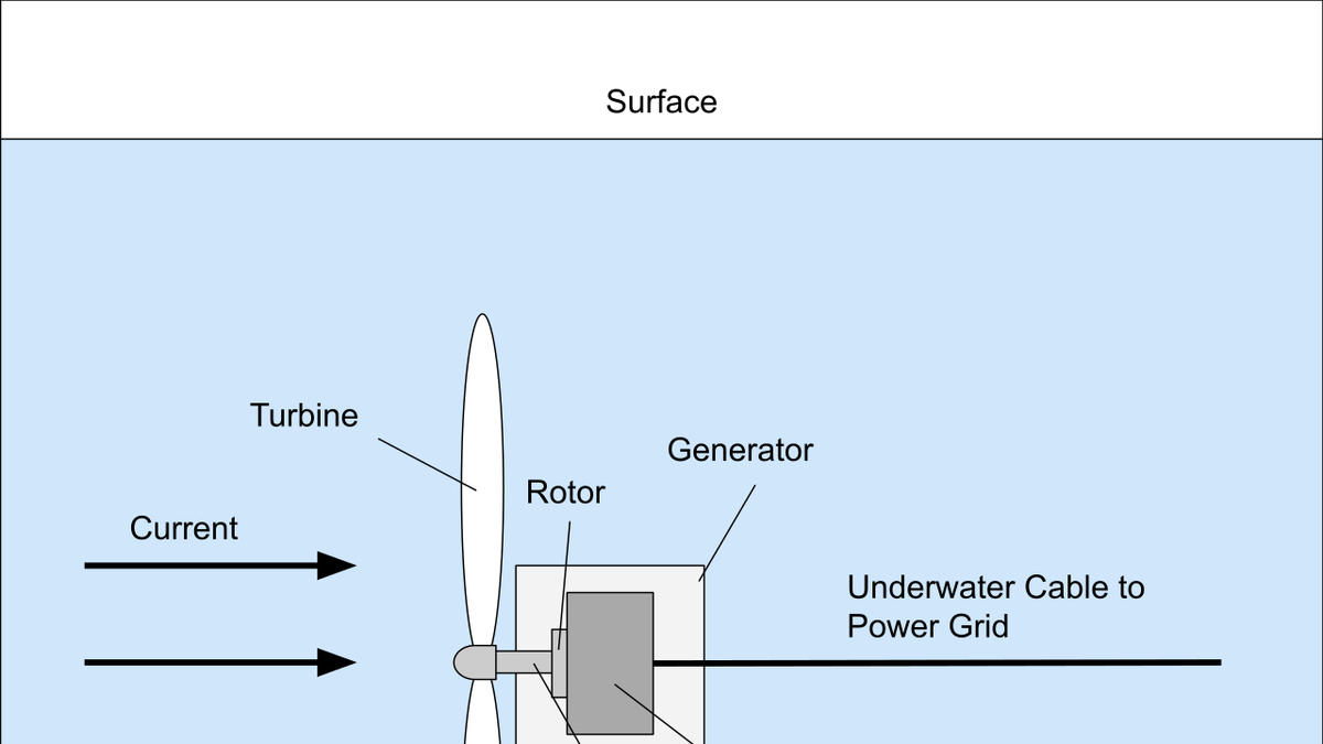 Science Quiz: Unusual sources of energy