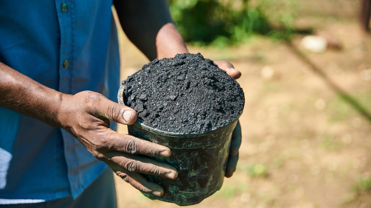 Biochar offers a way to turn India’s farm smoke into ‘black gold’
